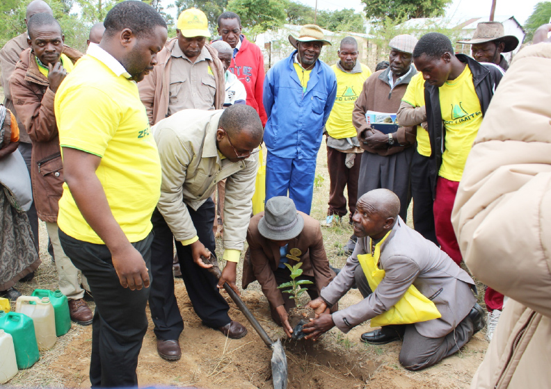 National tree planting day